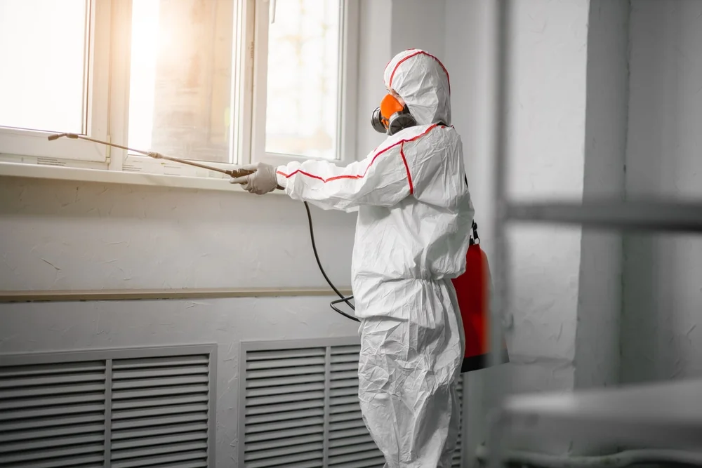 Professional mold remediation services in Saint Francis, WI